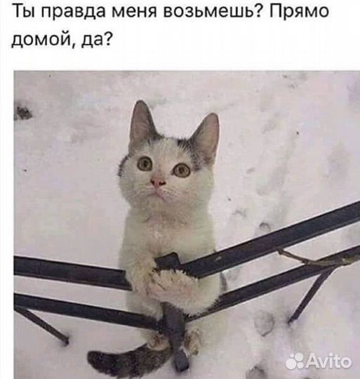 Умерла хозяйка