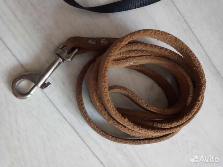 Ошейники поводки миски одежда