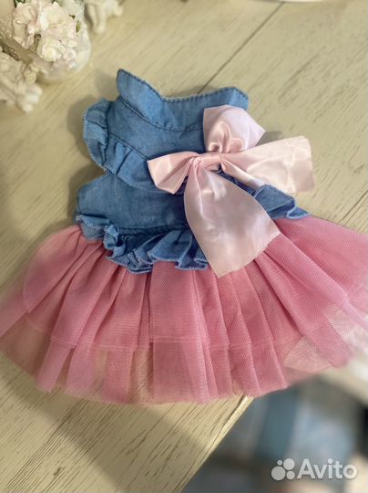 Одежда для собак мелких пород