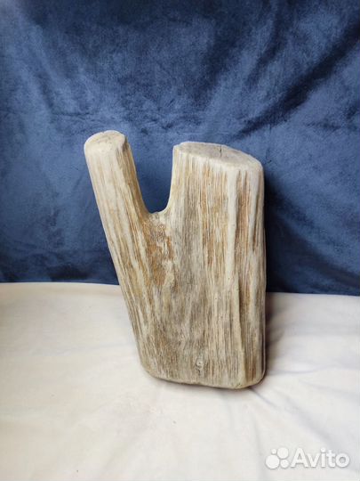 Коряги дрифтвуд