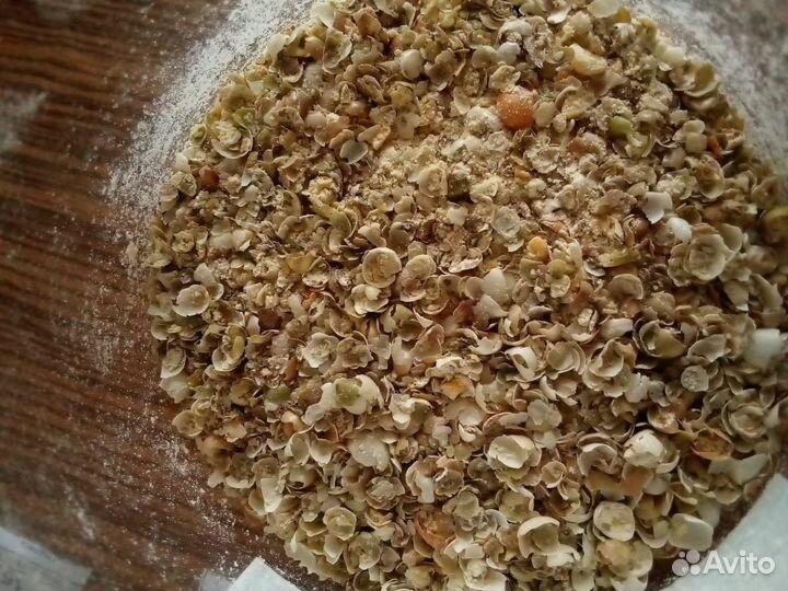 Мучка гороховая