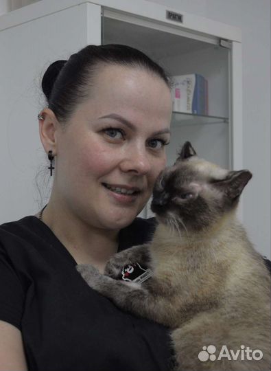 Ветеринарный врач, онлайн консультация