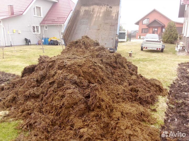 Навоз коровий