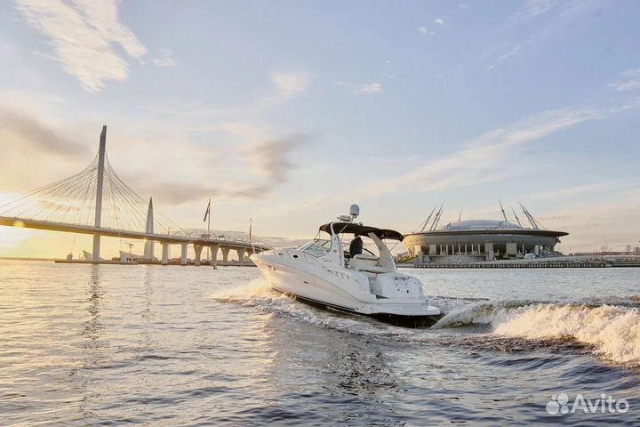 Моторная яхта Sea Ray 355