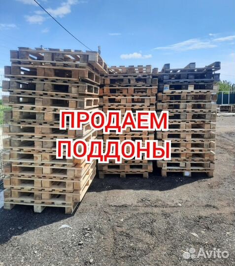 Поддоны