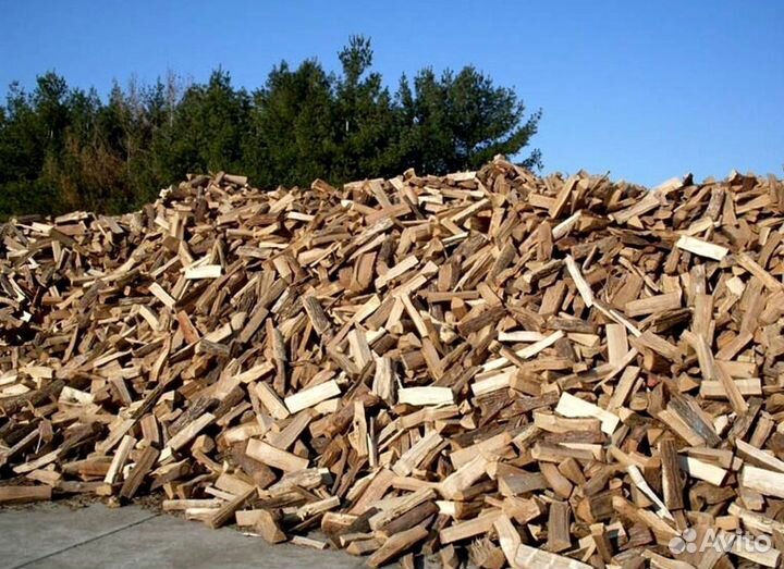 Береза для дров