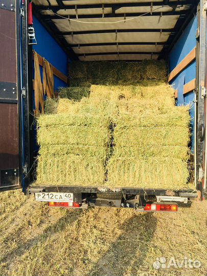 Корм для сх животных (сено)