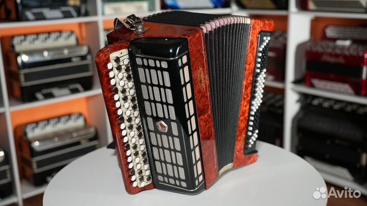 Баян Этюд-205