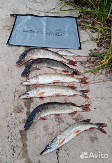 Сумка для рыбы рыбалки полностью герметична