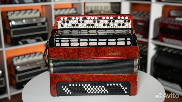 Баян Этюд-205