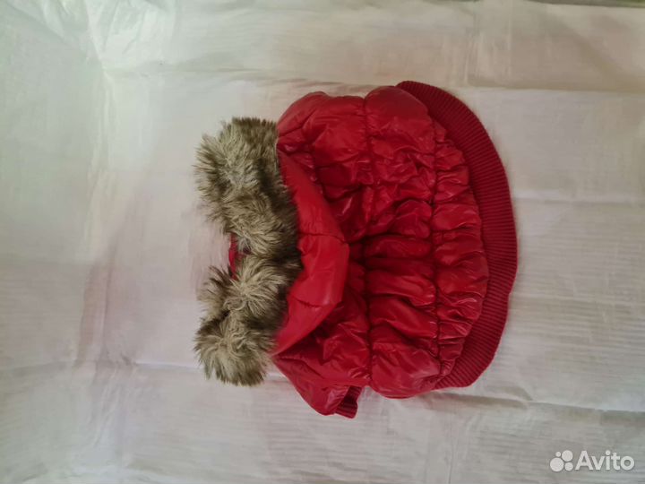 Одежда для маленьких собак