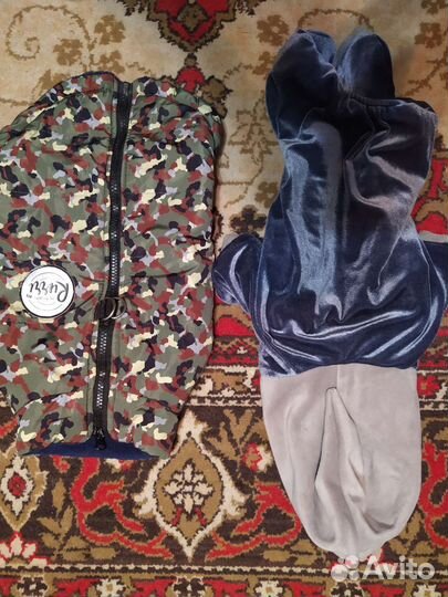 Одежда для собак