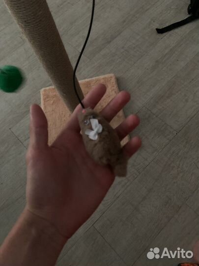 Когтеточка для кошек