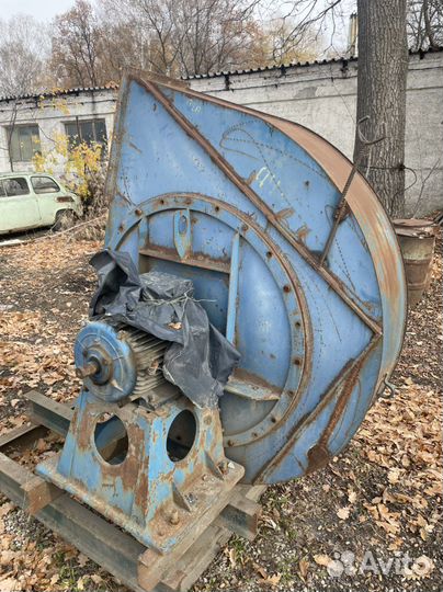 Дымосос дн10