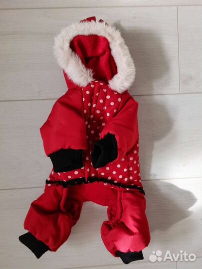 Комбинезон для маленькой собачки