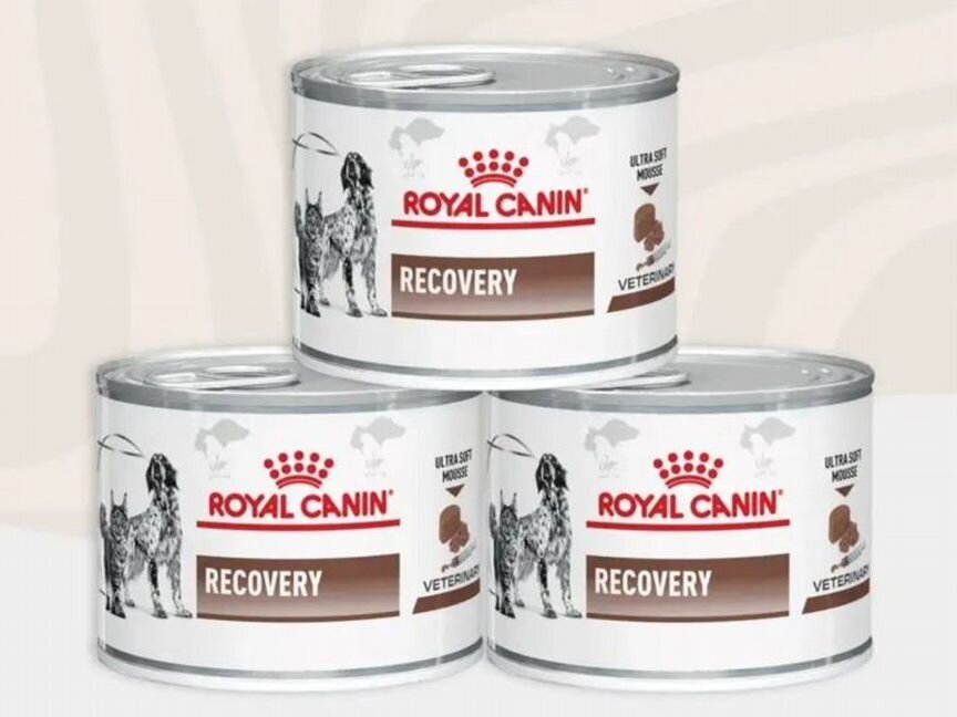 Корм для собак и кошек Royal Canin Recovery