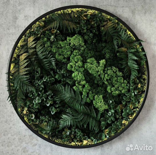 Искусственное озеленение (стабилизированный мох)