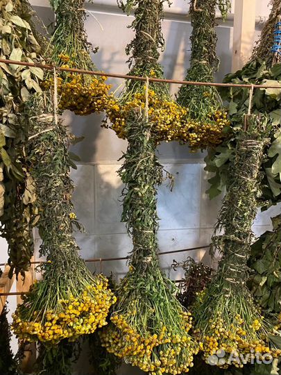 Веники Травы Для бани