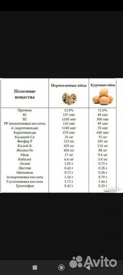 Домашние перепелиные и куриные яички