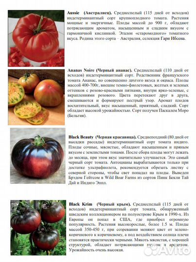 Томаты Лучшие коллекционные сорта Каталог