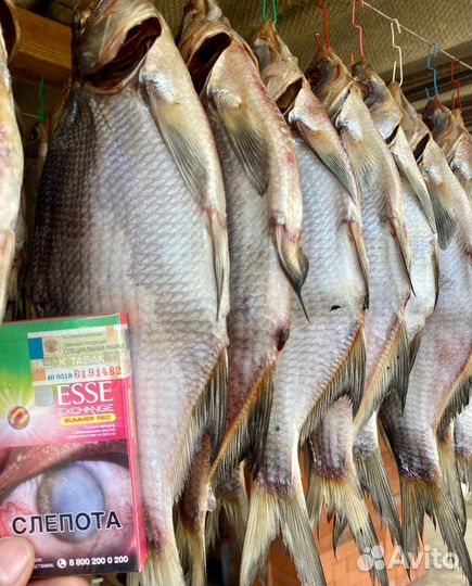 Лещ крупный икряной