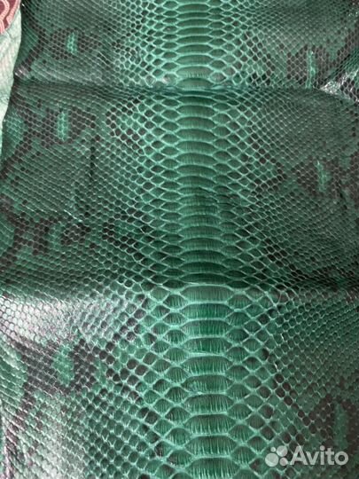 Кожа питона 5 метров