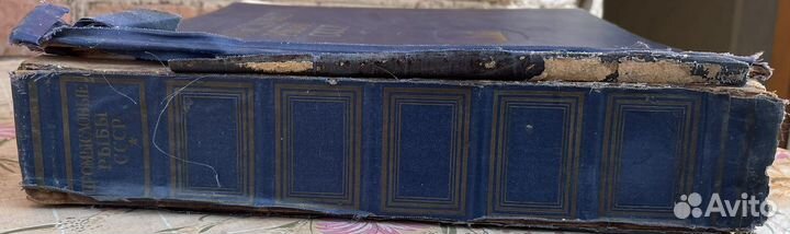 Книга промысловые рыбы СССР