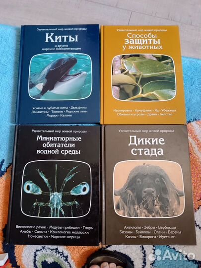 Серия книг удивительный мир живой природы