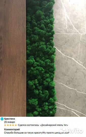 Стабилизированный мох ягель, эко дизайн кашпо