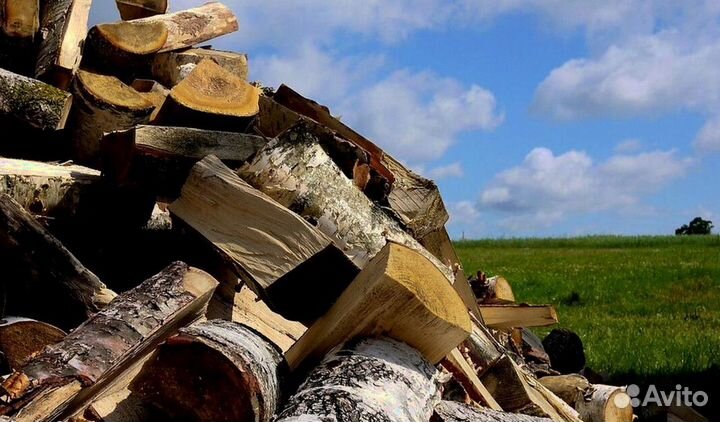 Дрова в СПБ