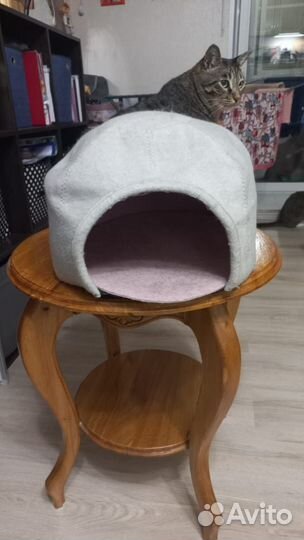 Домик для кошки и горшок