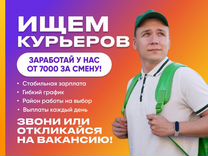 Курьер с ежедневными выплатами