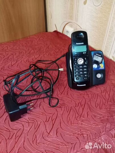 Panasonic