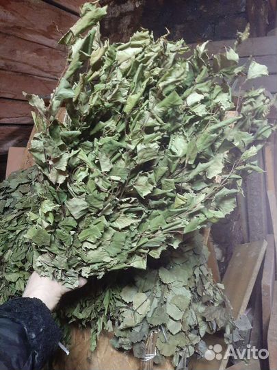 Банные веники, запарнрк