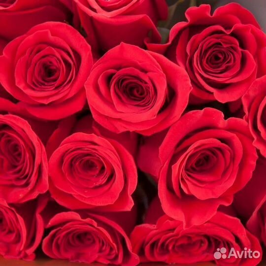 Высокие розы 70 см