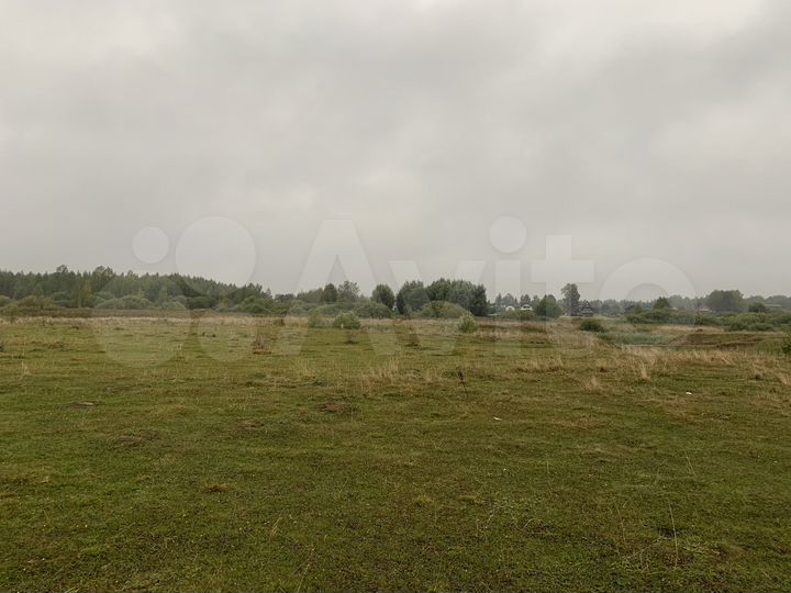 Участок 1,3 га (ИЖС)