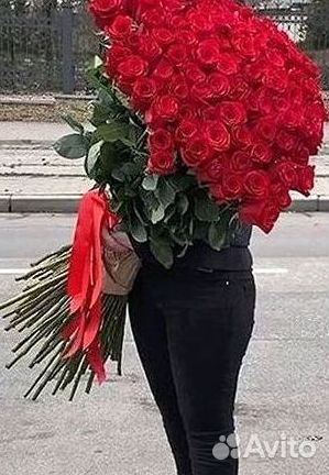 Метровые розы 110