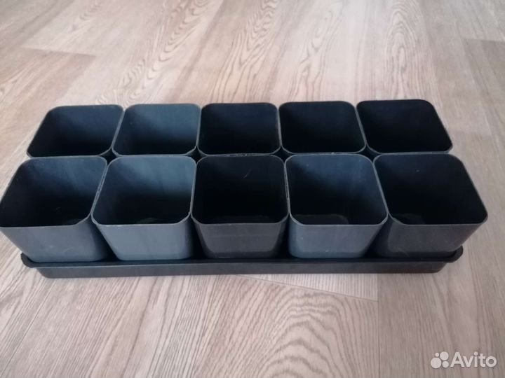 Набор для рассады