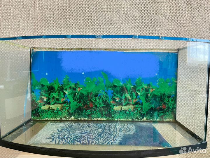 Аквариум на 120 литров