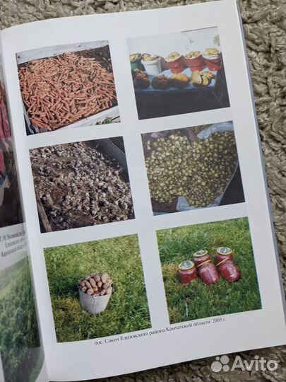 Л.И. Никонова 