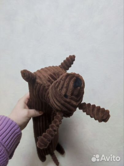 Тёмно-коричневая такса