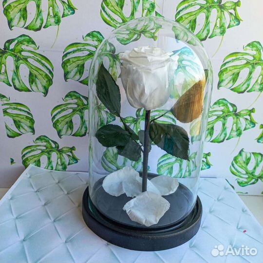 Роза в колбе В наличии