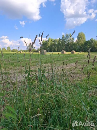 Сено в рулонах