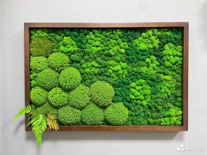 Фитокартина