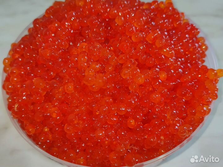 Красная Икра (Горбуша, Кета). Вылов 2023. Доставка