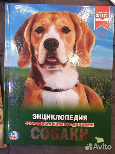 Новые книги для детей