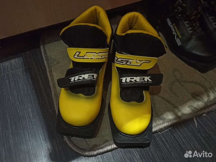 Лыжные ботинки