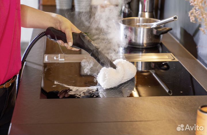 Пароочиститель Karcher sc 5 EasyFix Premium аренда