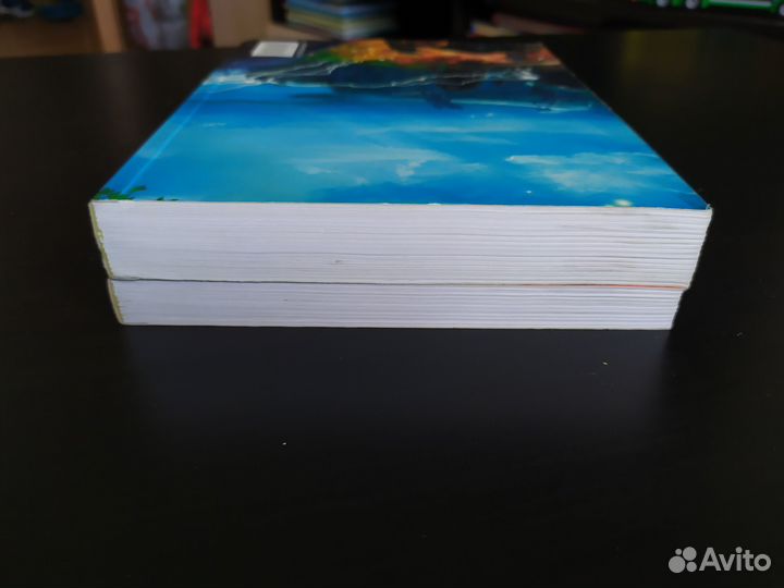 С. Тармашев - Рассвет Тьмы и Сияние Тьмы. 2 книги