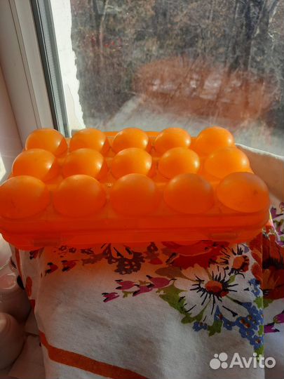 Контейнер для яиц пластиковый СССР советский